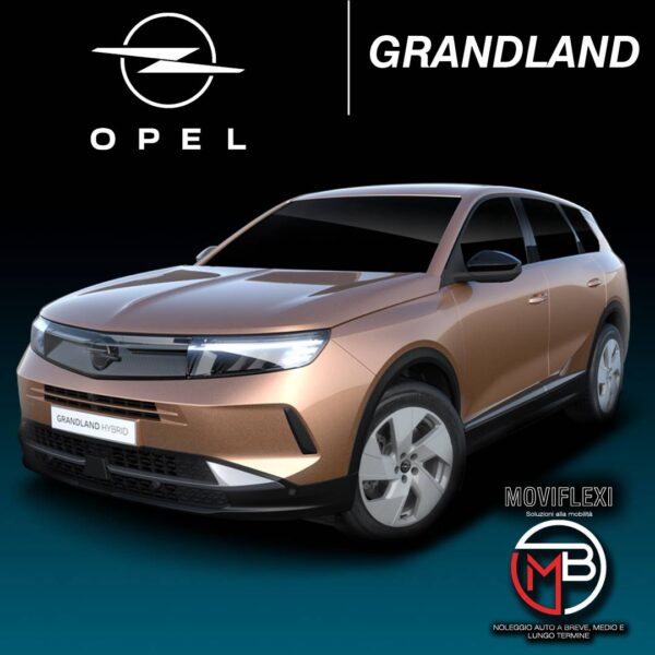 OPEL GRANDLAND